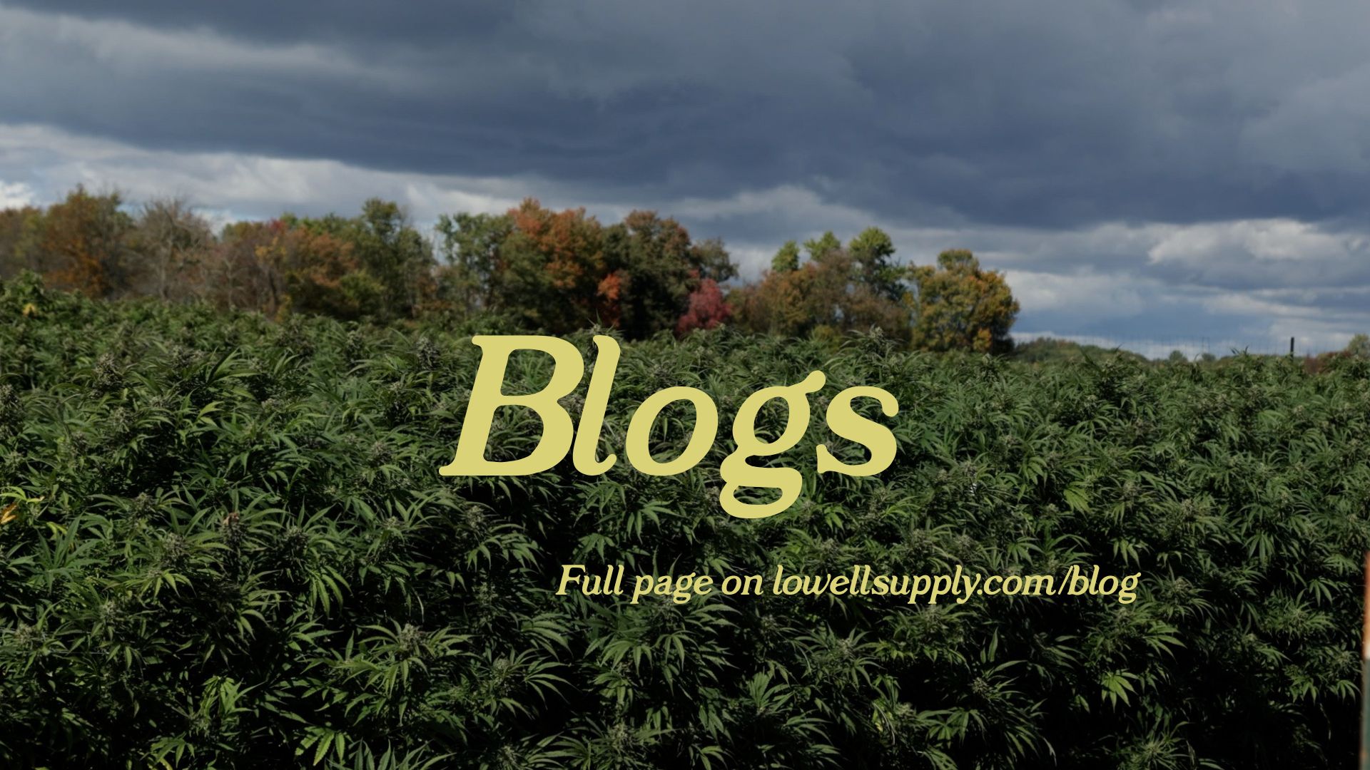 Blogs — watercolor landscape header